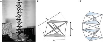 On the Mechanical Modeling of Tensegrity Columns Subject to Impact Loading
